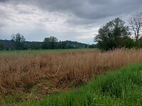 16517577138088890642804241500882