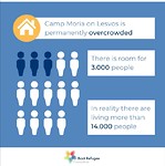 Infographic aantallen