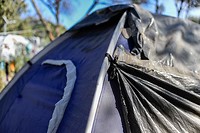 Tent in de Olivegrove