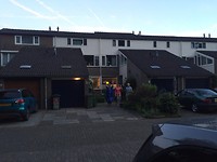 Dag papaverveld!