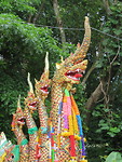 Doi Suthep 1