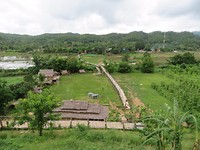Bamboo bridge