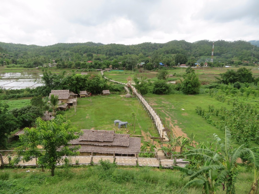 Bamboo bridge