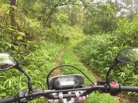 Dirt roads 3