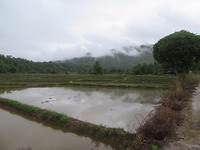 On the road to Pai 1