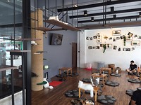Cat cafe <3