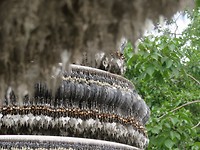 White Temple 7