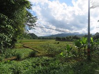 Road to waterfall