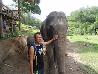 Elephant Sanctuary 1