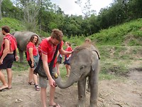 Elephant Sanctuary 3