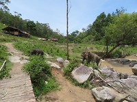 Elephant Sanctuary 7