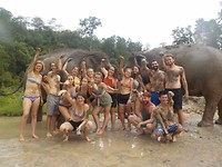 Elephant Sanctuary 9