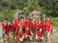 Elephant Sanctuary 11