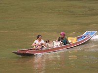 Boaty
