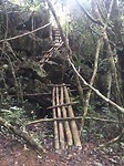 Path to first viewpoint