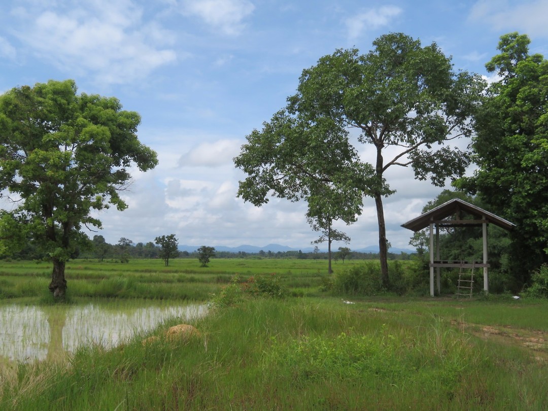 On the road to Thakhek