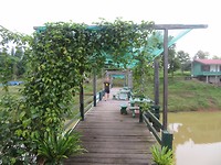 Thalang