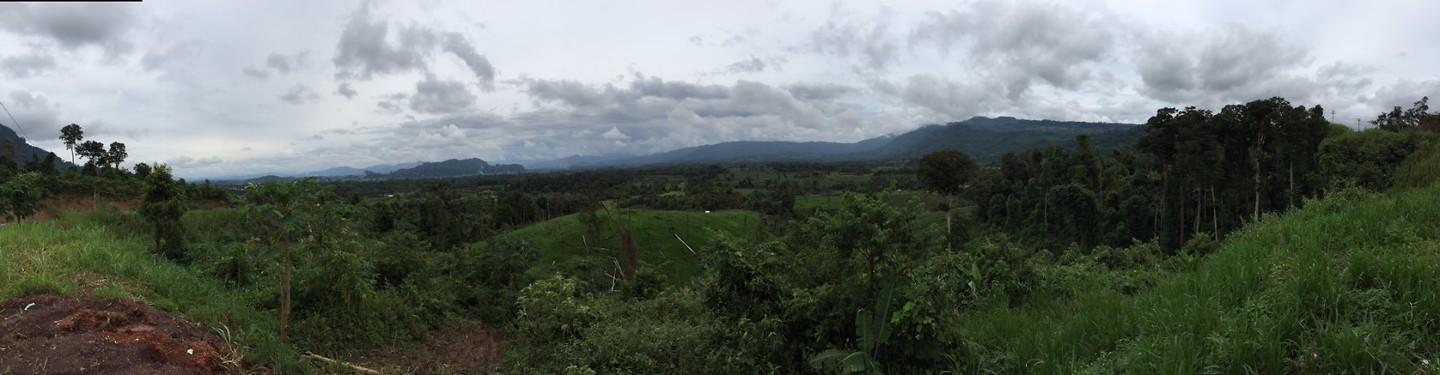 Pano 1