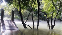 Coolsprings