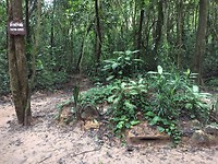 Cu Chi Tunnels
