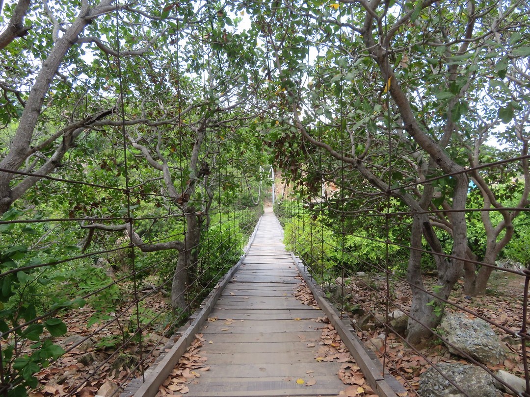 More bridges