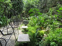 Coffee garden