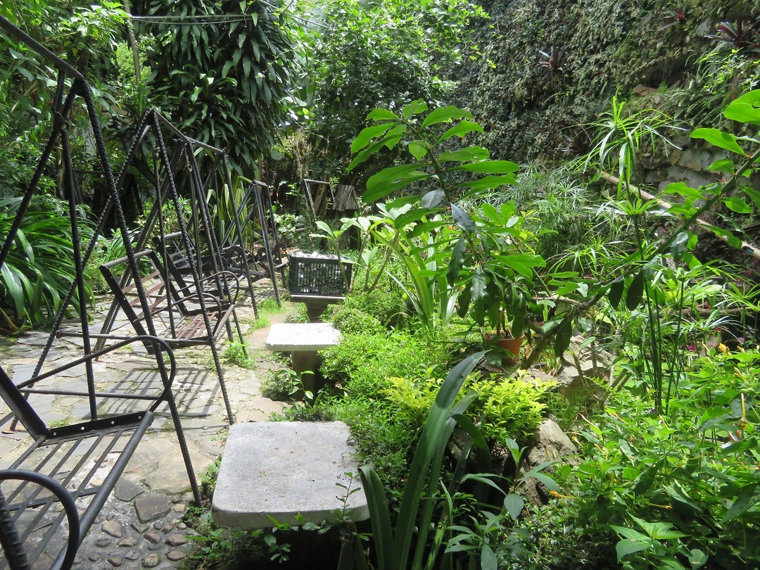 Coffee garden