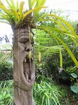 Coffee garden decoration