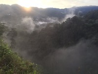 Foggy