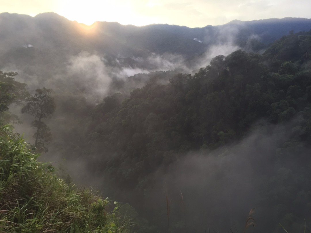 Foggy