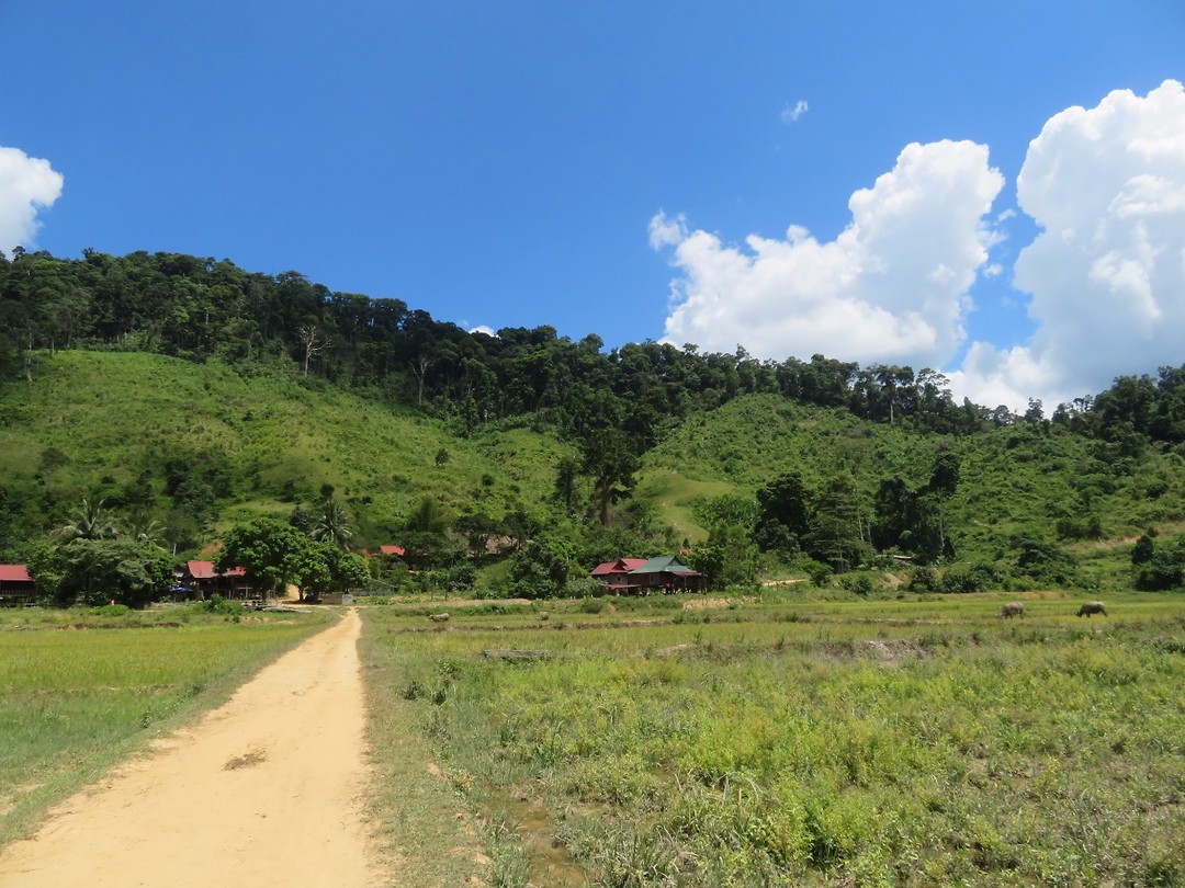 Random village