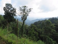 On the way to Phong Nha