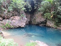 Swimming and cliffjumping!