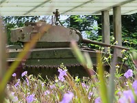 Tank