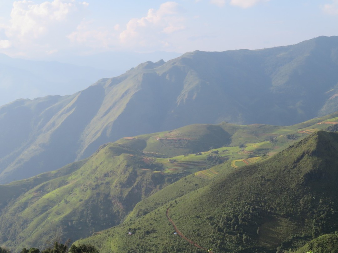 Rice paddies 1