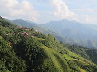 Rice paddies 2