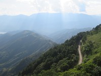Rice paddies and road