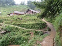 Sa Pa road
