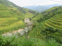 Rice paddies 1