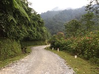 Road