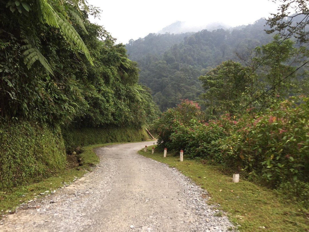Road