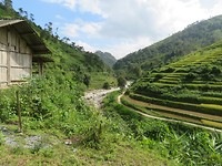 Rice paddies 5