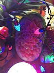 Decorated fruit