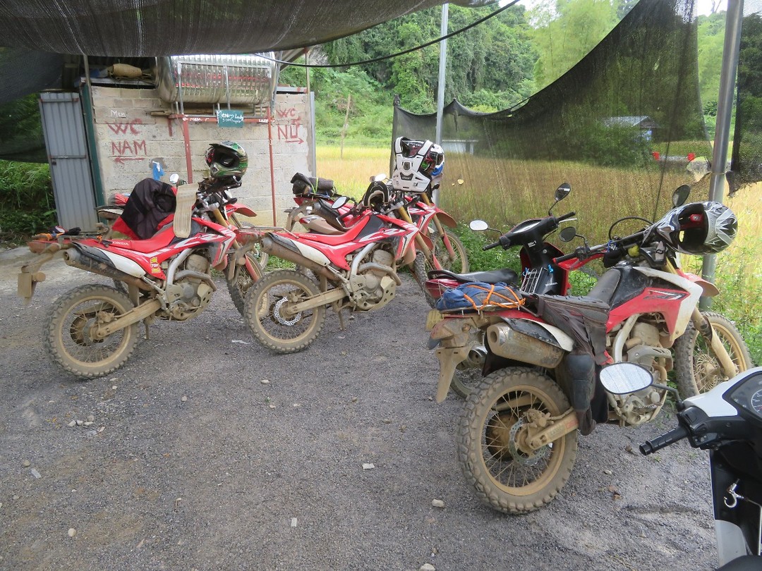 Bikes!