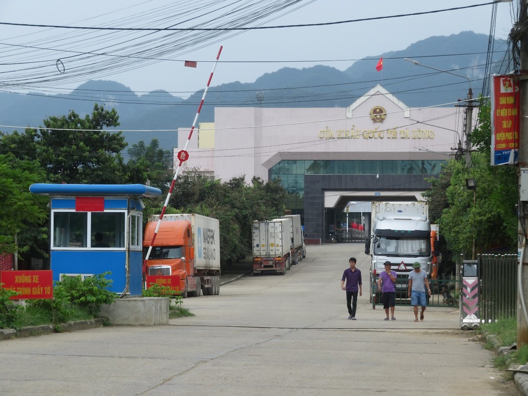 Chiner border
