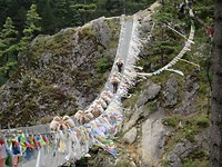 Birdge full of yak