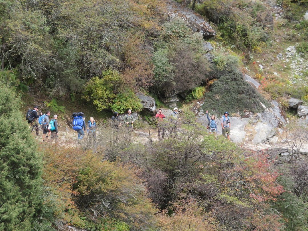 Some random hikers
