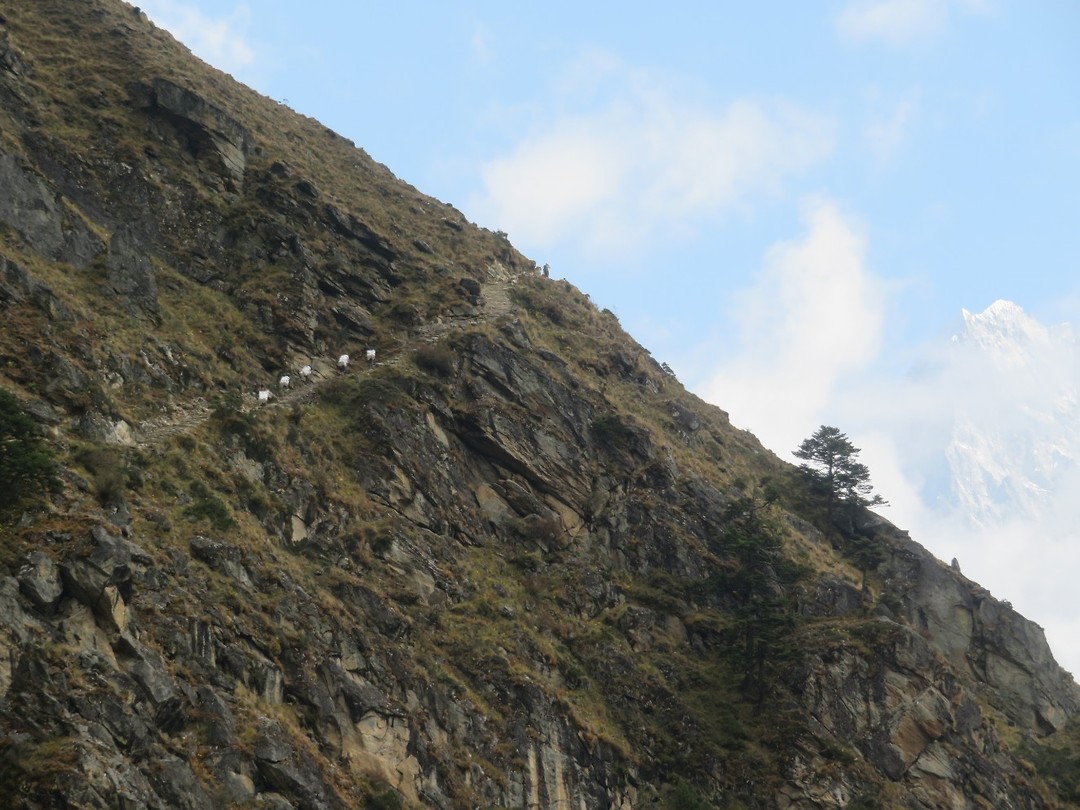 Path leading up