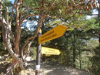 Crossroads