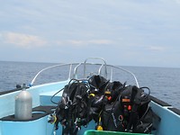 Diving in Pemuteran